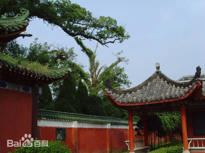 QQ截图20250512173516.png